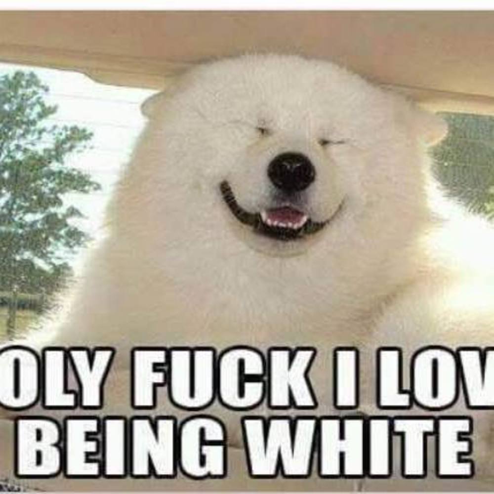 Meet your Posher, Jerry